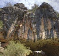 Borenore Karst Conservation Reserve - Phillip Island Accommodation