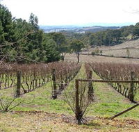 Habitat Vineyard - Phillip Island Accommodation