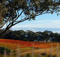 Bloodwood Estate - Phillip Island Accommodation