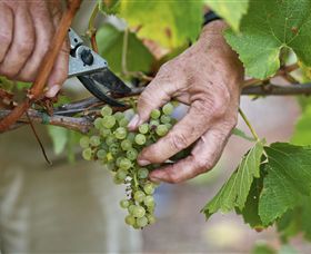 Austins & Co. - Phillip Island Accommodation 1