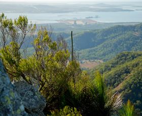 Mount Larcom Climb - Phillip Island Accommodation 1