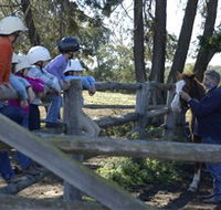 Harlow Park Horse Riding - Phillip Island Accommodation