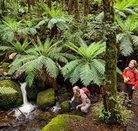 Baw Baw National Park - Phillip Island Accommodation