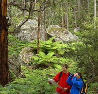 Centennial Glen - Phillip Island Accommodation
