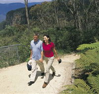 Blue Mountains Walking Tracks - Phillip Island Accommodation