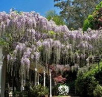 Nooroo Gardens - Phillip Island Accommodation
