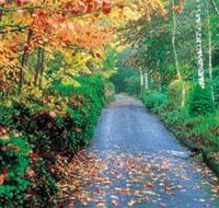 Mount Wilson and Mount Irvine - Phillip Island Accommodation