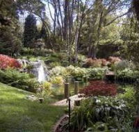 Windyridge Garden Mount Wilson - Phillip Island Accommodation