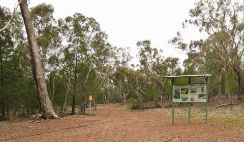 Little Llangothlin Picnic Area - Phillip Island Accommodation 2