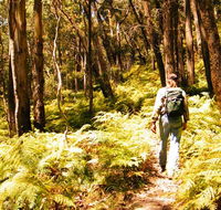 Federal Pass - Phillip Island Accommodation