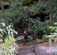Leura Cascades Fern Bower - Phillip Island Accommodation