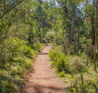 Mares Forest Creek walking track - Phillip Island Accommodation
