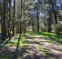 Wombeyan Waterfall walking track - Phillip Island Accommodation