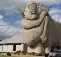 Big Merino - Phillip Island Accommodation