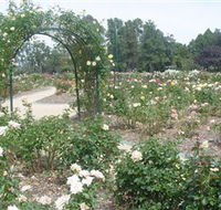 Victoria Park Rose Garden - Phillip Island Accommodation