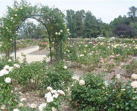 Victoria Park Rose Garden - Phillip Island Accommodation 0