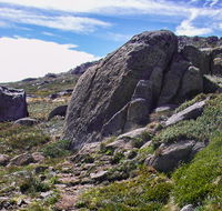 Mount Stillwell walk - Phillip Island Accommodation