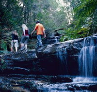 South Lawson Waterfall Circuit - Phillip Island Accommodation