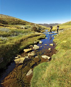 Sawpit Creek NSW Phillip Island Accommodation
