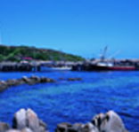 King Island Dairies - Phillip Island Accommodation