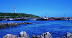 King Island Dairies - Phillip Island Accommodation 0