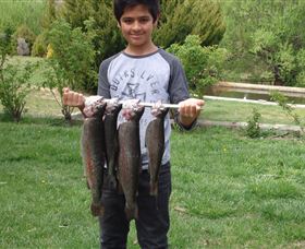 Eucumbene Trout Farm - Phillip Island Accommodation 3
