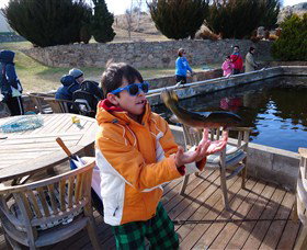 Eucumbene Trout Farm - Phillip Island Accommodation 2
