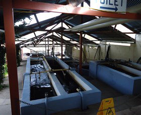Eucumbene Trout Farm - Phillip Island Accommodation 5