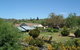 Eucumbene Trout Farm - thumb 8