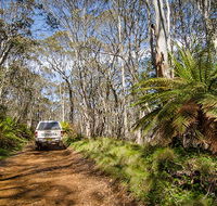 Barrington trail - Phillip Island Accommodation