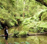 Morwell National Park - Phillip Island Accommodation