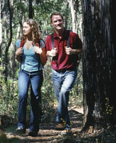 Bibbulmun Track - Phillip Island Accommodation 1