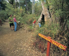 Bibbulmun Track - Phillip Island Accommodation 3