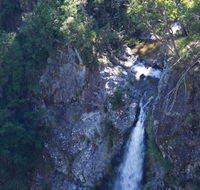Lyrebird Falls walking track - Phillip Island Accommodation