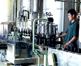 Sun Masamune Sake Brewery - Phillip Island Accommodation 2