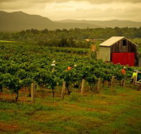 Around Hermitage Wine and Food Trail Hunter Valley - Phillip Island Accommodation
