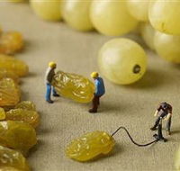Hunter Valley Wine School - Phillip Island Accommodation