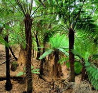 Pegarah Private Nature Reserve  Parenna Place - Phillip Island Accommodation