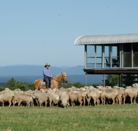 Tobruk Sydney - Phillip Island Accommodation