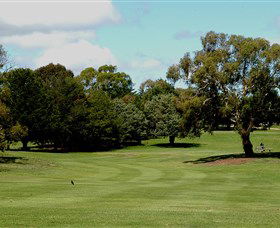 Cooma Golf Club - Phillip Island Accommodation 1