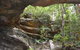 Cave Creek Walking Track - thumb 0