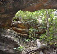 Cave Creek Walking Track - Phillip Island Accommodation