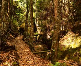 Cave Creek Walking Track - Phillip Island Accommodation 2