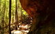 Cave Creek Walking Track - thumb 1