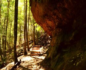 Cave Creek Walking Track - Phillip Island Accommodation 1