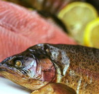 Lovedale Smokehouse Gourmet Pantry Cafe and Masterclasses - Phillip Island Accommodation