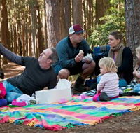 State Forests of the Watagan Mountains - Phillip Island Accommodation
