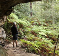 Dharug National Park - Phillip Island Accommodation