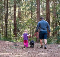 Olney State Forest - Watagan Mountains - Phillip Island Accommodation