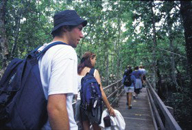 Bellthorpe National Park - Phillip Island Accommodation 0